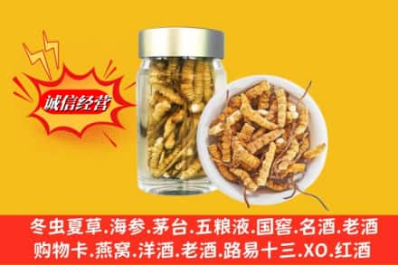 重庆大渡口区回收散虫草