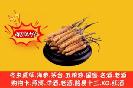 重庆大渡口区求购回收虫草多少钱每克